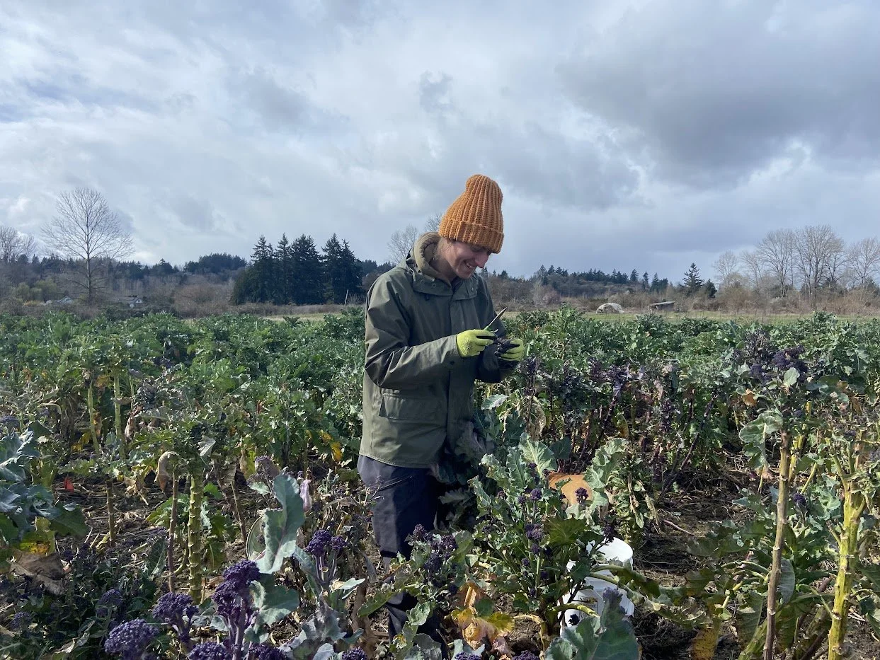 Winter 2026 #9/10: Purple (Rain)