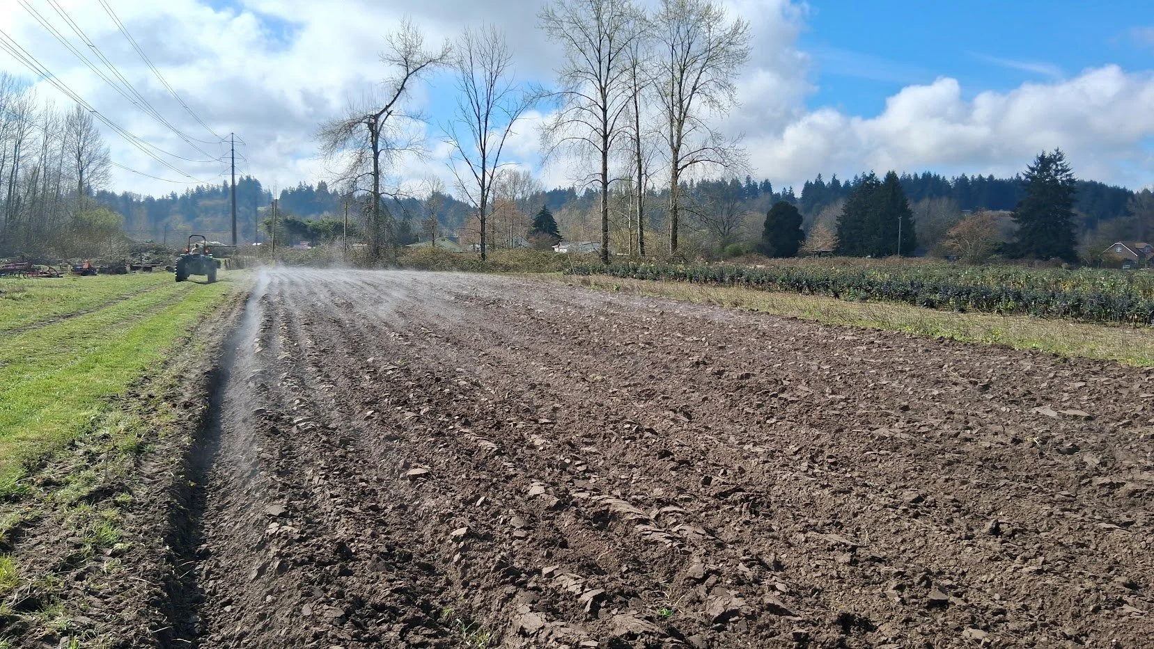 Spring 2026 #2/10: Carrots, Colorful Radishes &amp; Sprouting Broccoli
