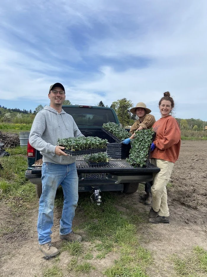Spring 2026 #5/10: Planting Our Way into Spring Proper