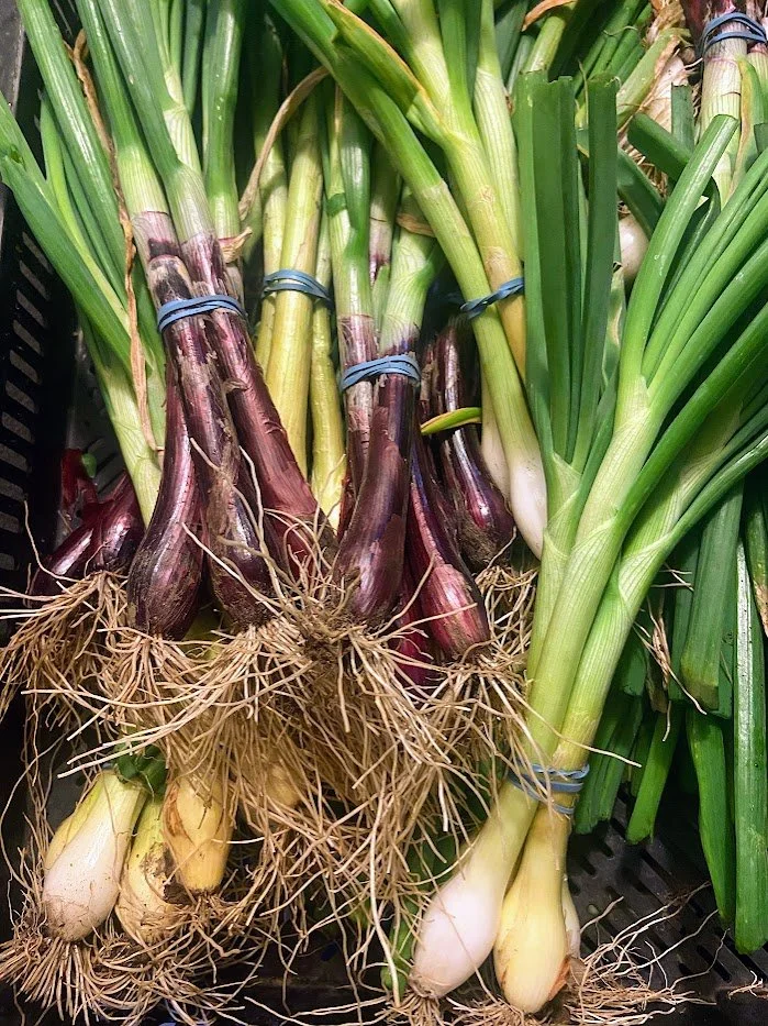 Spring 2026 #6/10: Spring Onions, Asparagus &amp; Rhubarb