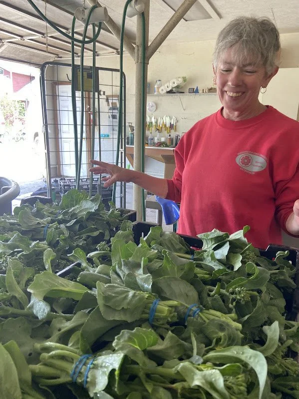 Spring #9/10: Green Garlic &amp; Gai-Lan