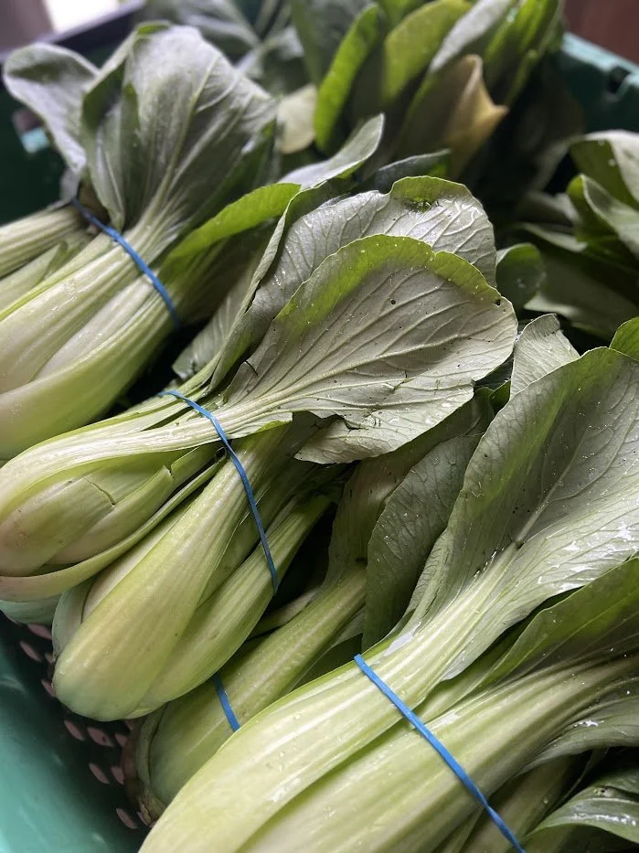 Spring #10/10: Last Week of Spring. Summer CSA &amp; Hours Start June 2nd!