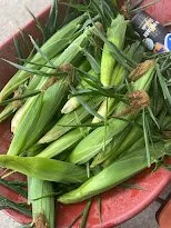 corn wheel.jpg