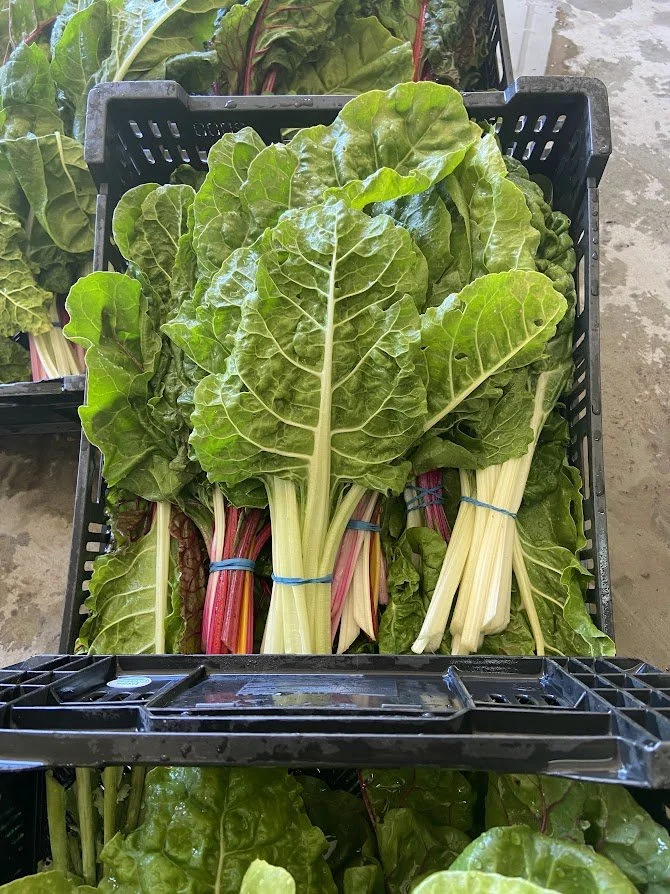 chard.jpg