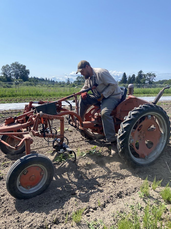 cultivating.jpg