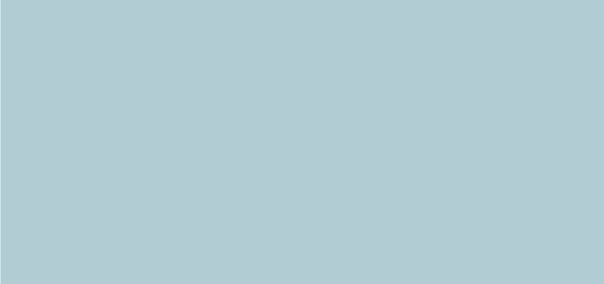 lightblue-banner-06.png