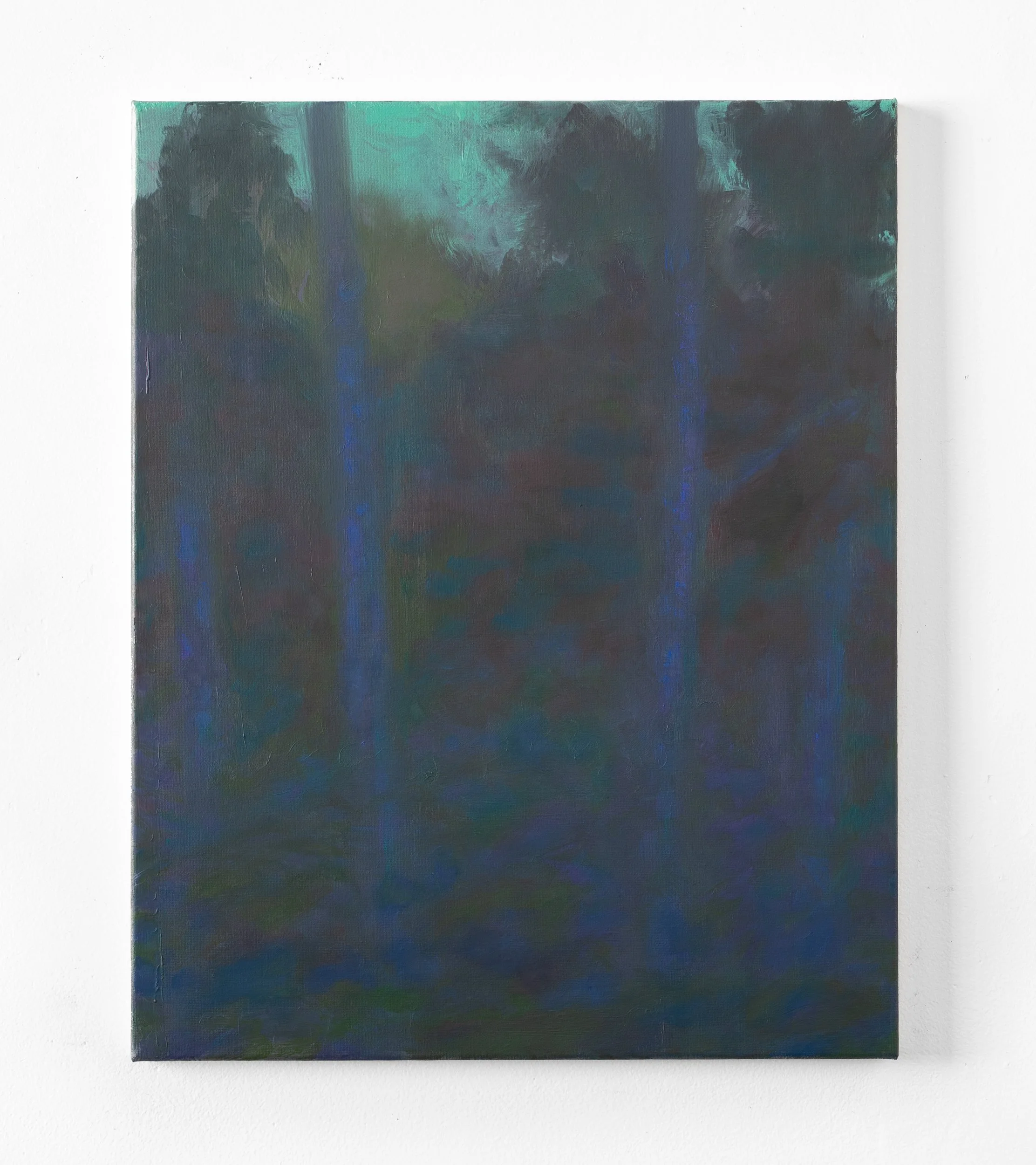 BGetz_2025_idahobluetrees.jpg