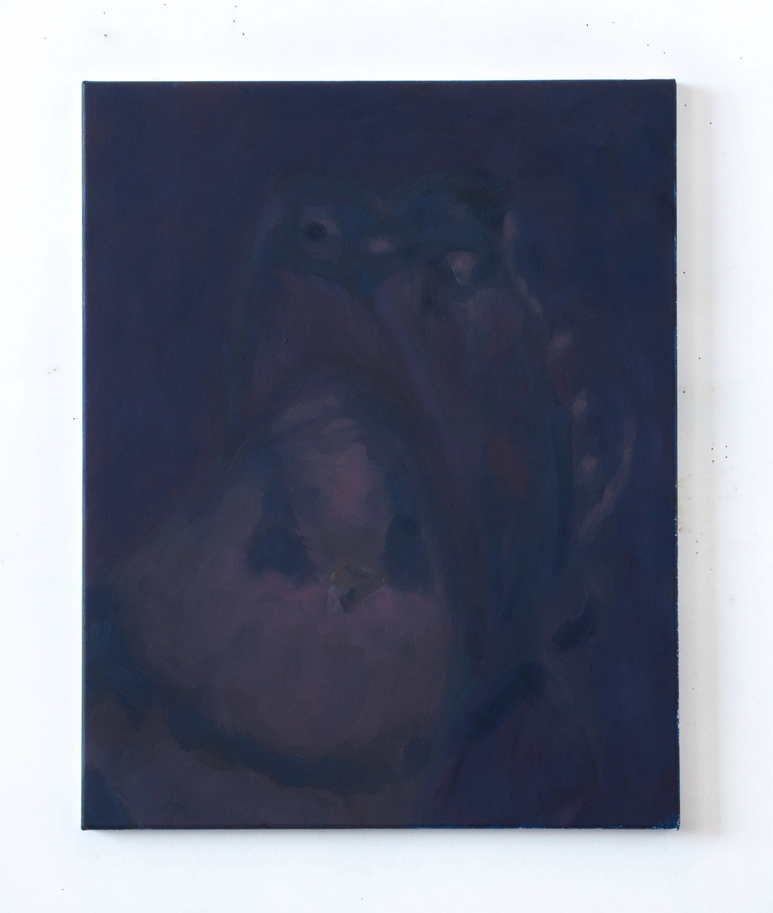 36_(66)_my dad's birds (red, blue)_LF.jpg