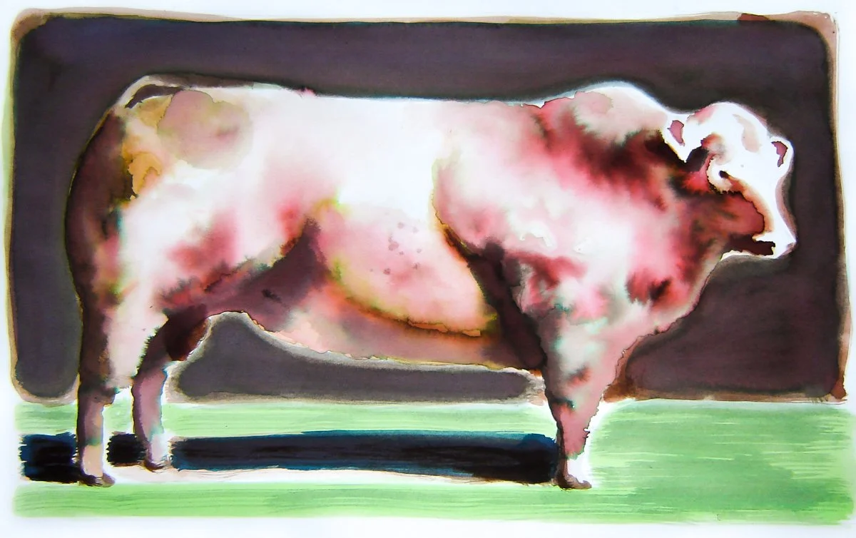 cow bull.jpg