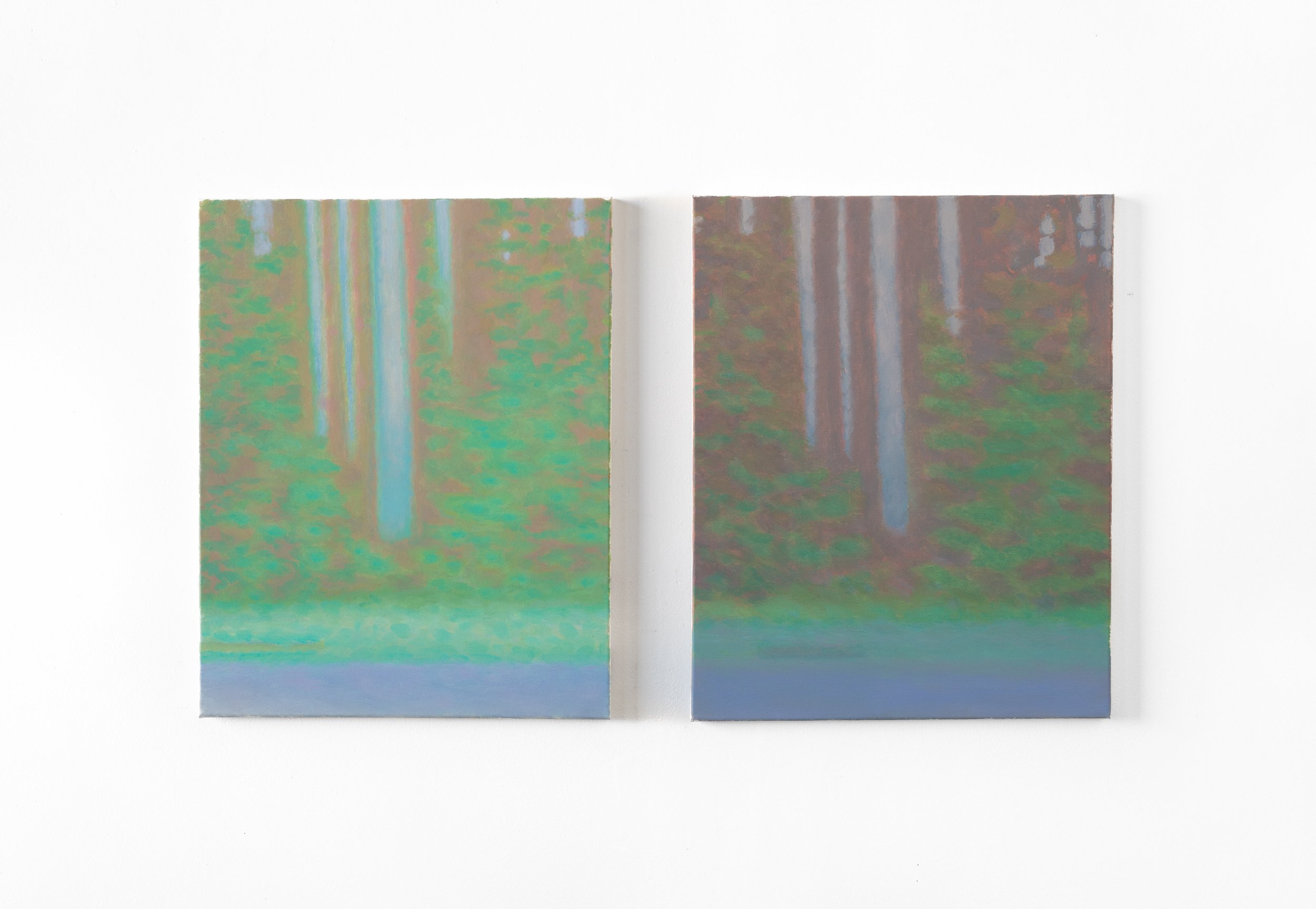  double (compression)  oil on canvas  12 × 16 (2) 