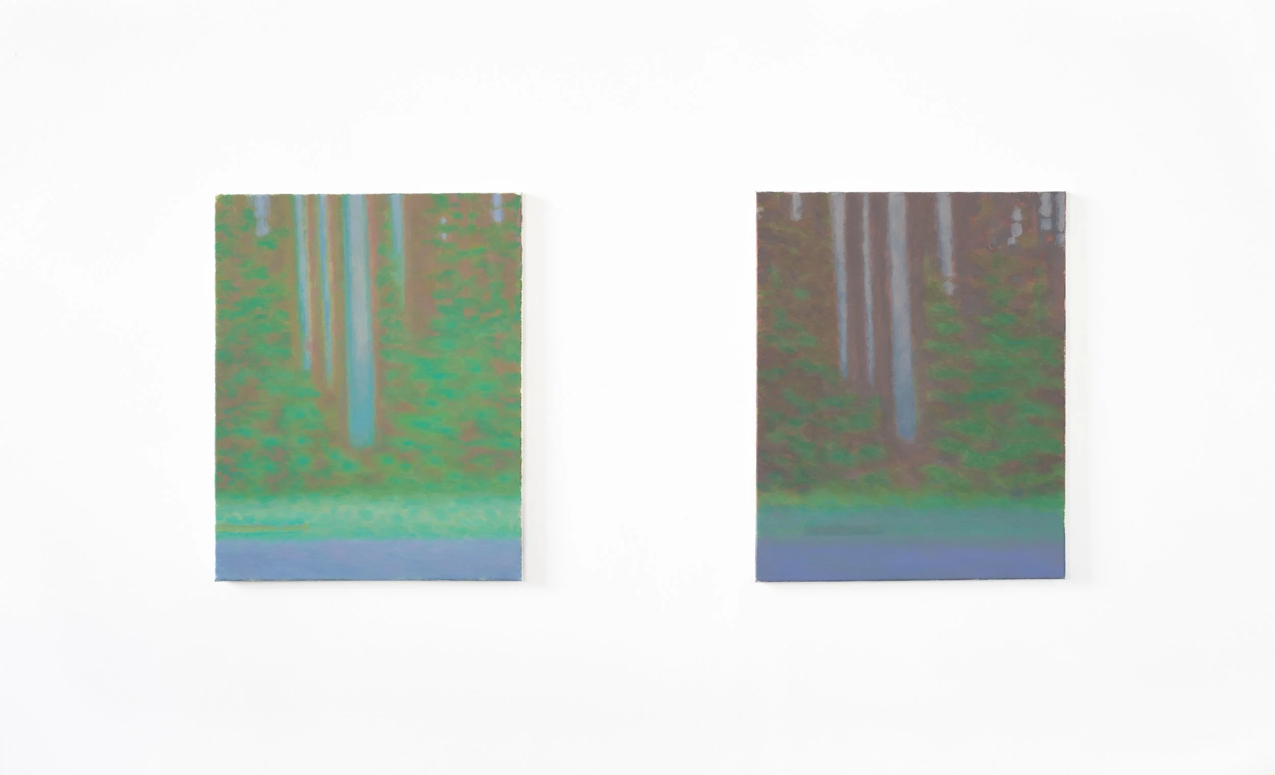  double (compression)  oil on canvas  16 × 20 (2) 