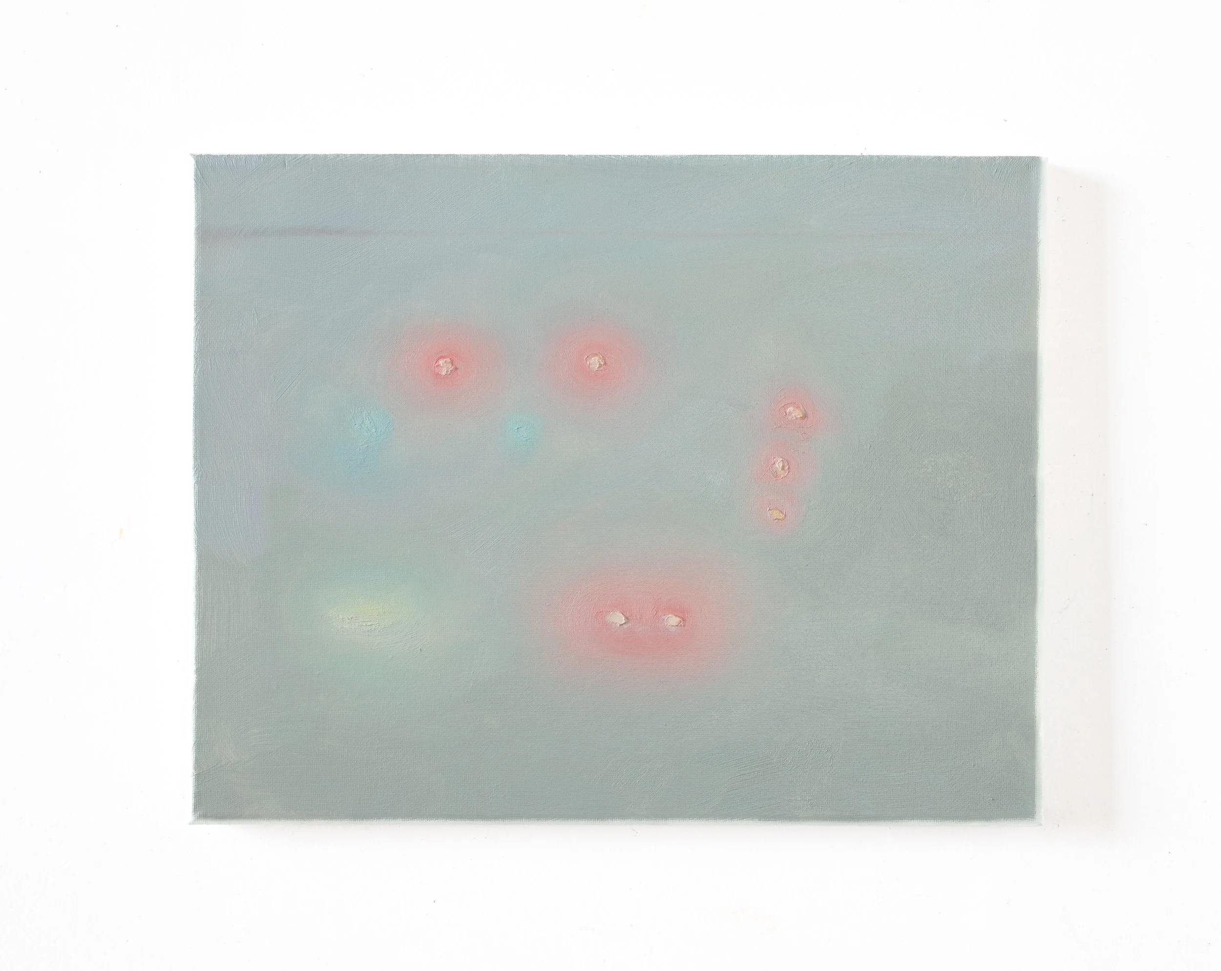  signal, halation  11 × 14 