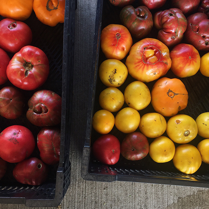 Beautiful heirlooms at our CSA pickup!