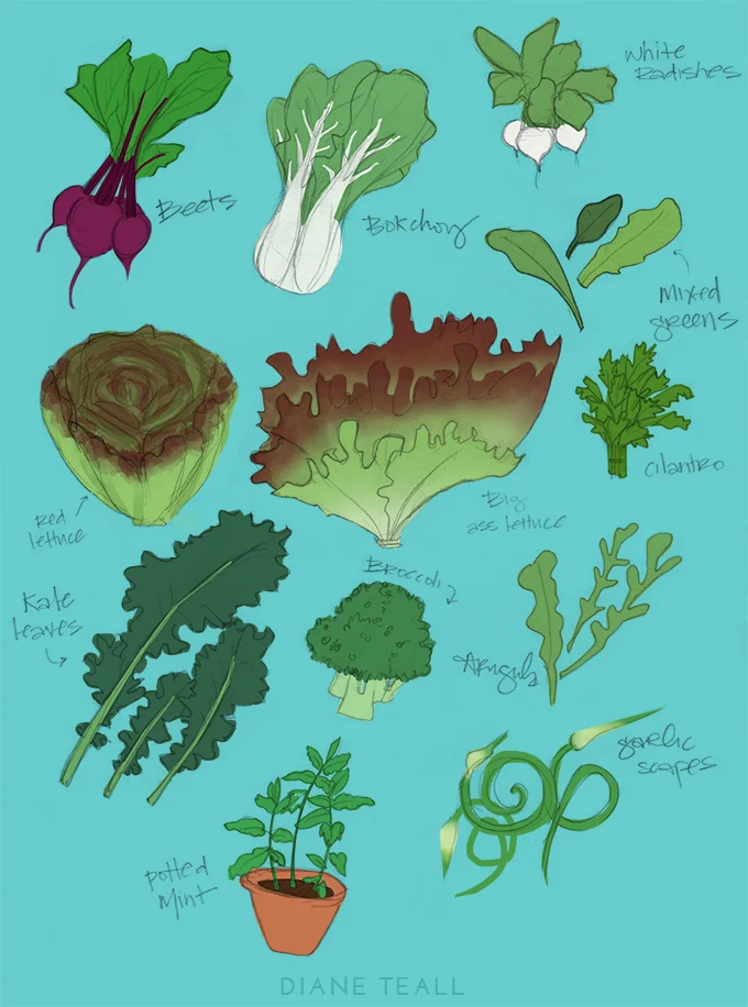 June 20 CSA Box.jpg