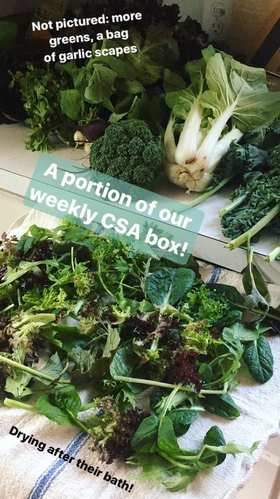 Follow along on IG stories!