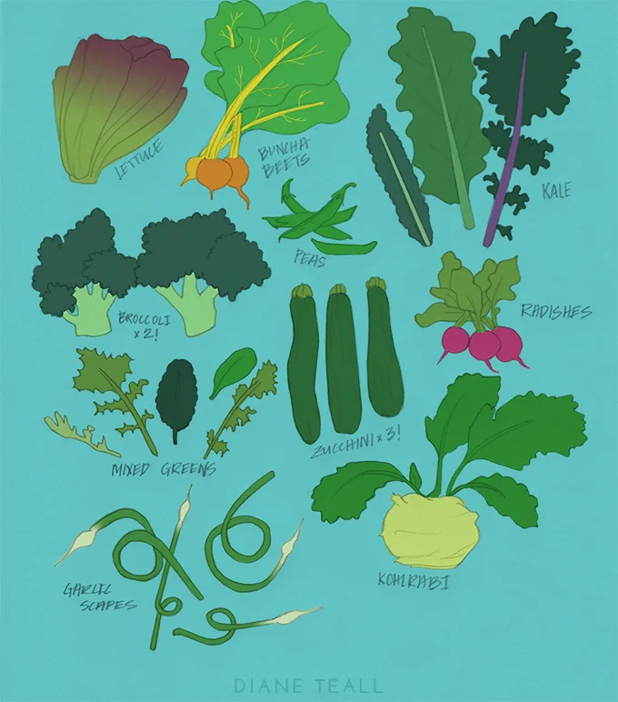 July 6: What's in the CSA Box?