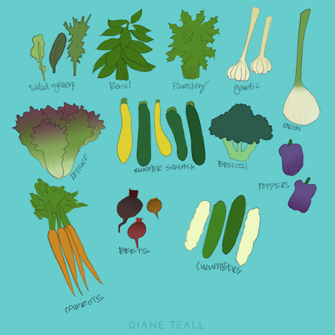 July 19 CSA Box.jpg