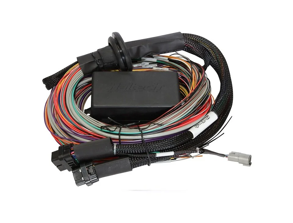 Wiring_Harness_Haltech_1500_Premium_HT-140904_01.jpg