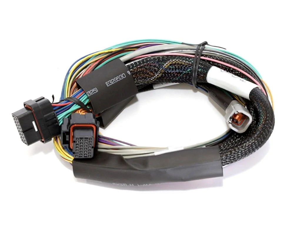Wiring_Harness_Haltech_1000_Basic_HT-140802_01.jpg