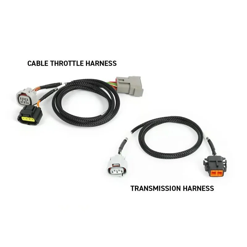 ECU_Rebel_JZ_HT-220205_03.jpg