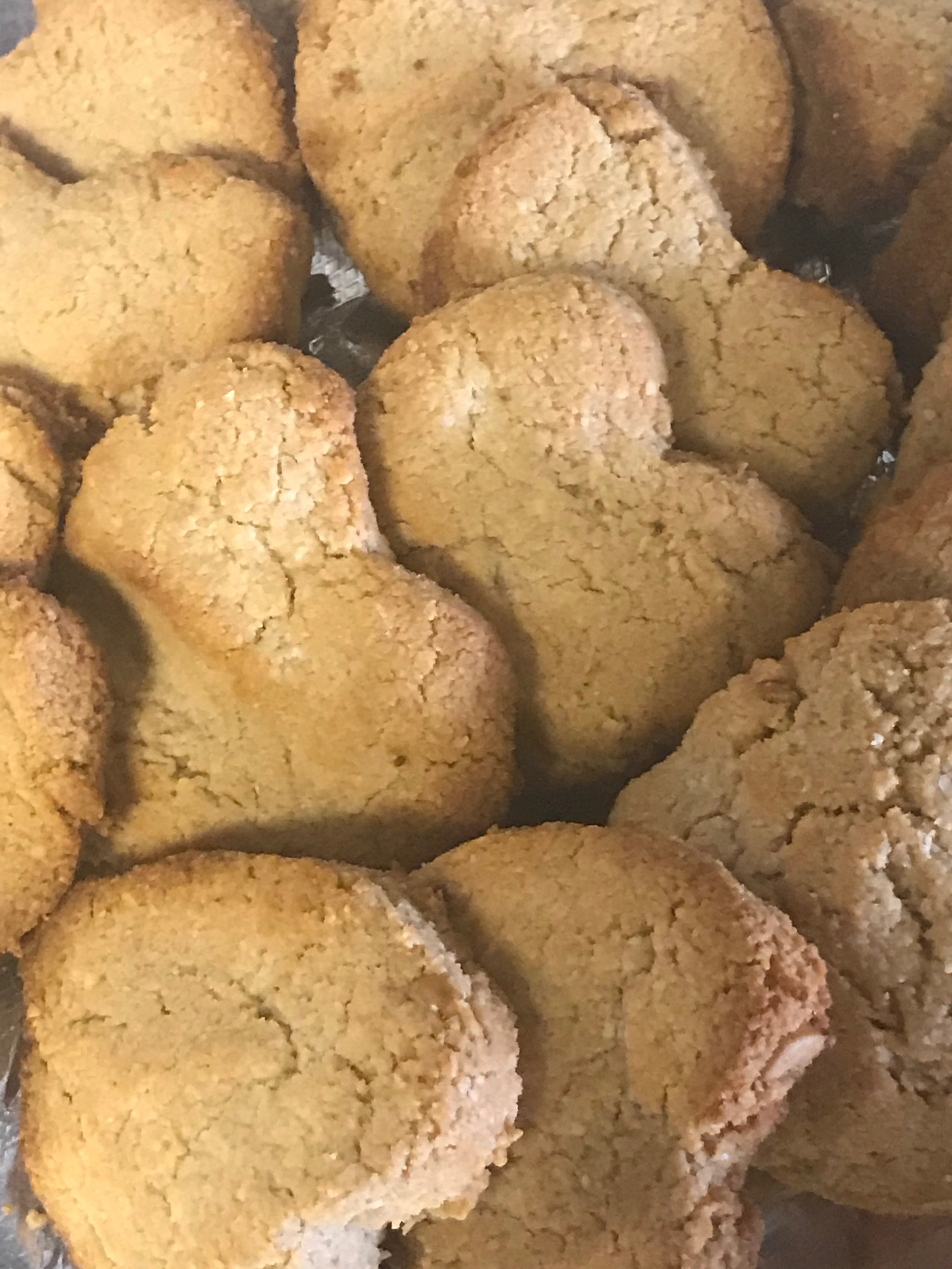  Homemade Dog Scones and Dog Biscuits 