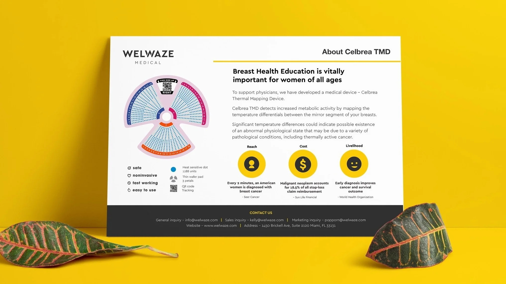 welwaze%252Bpostcard%252Bback.jpg