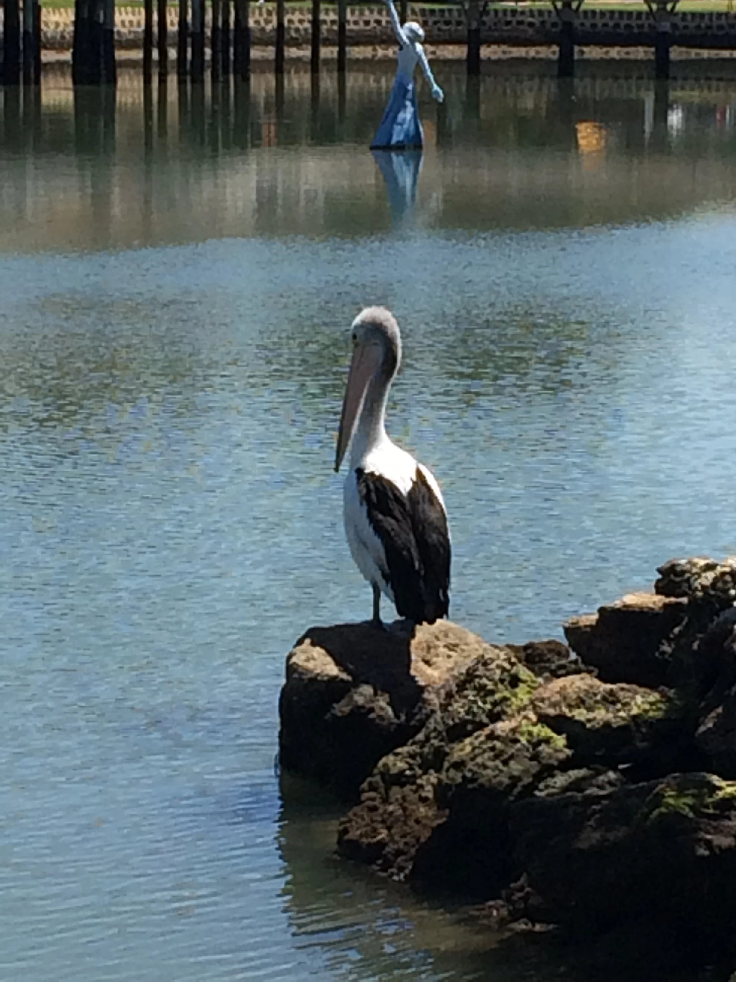 November 2015 144.JPG