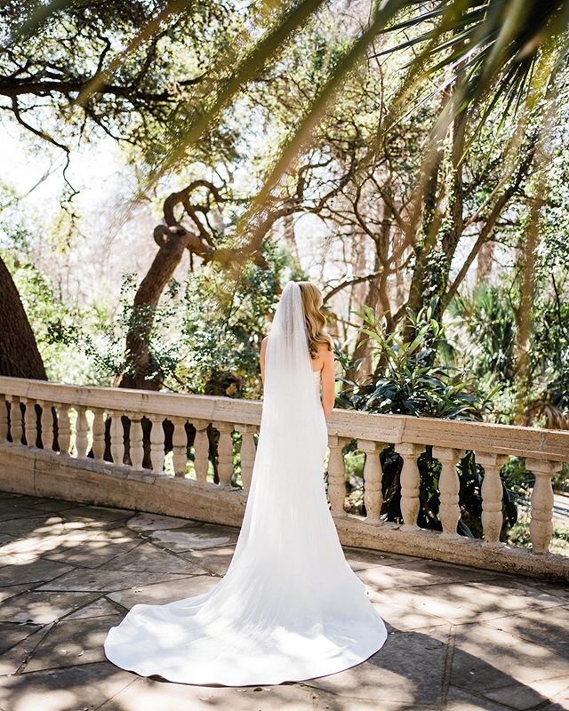 A stunning bride in one of my favorite places in Austin. Hope to be back soon ✨