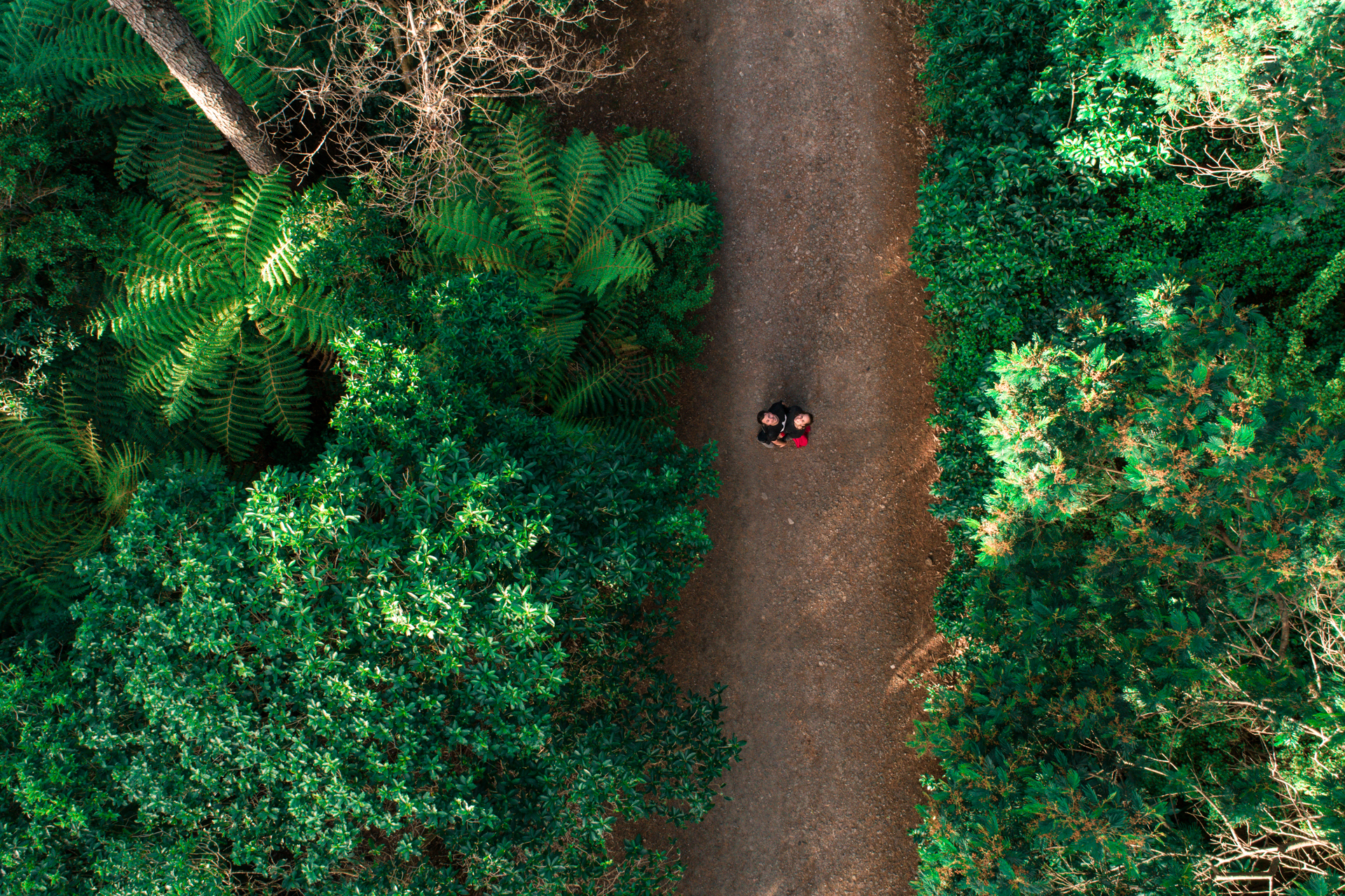 DJI_0215.jpg
