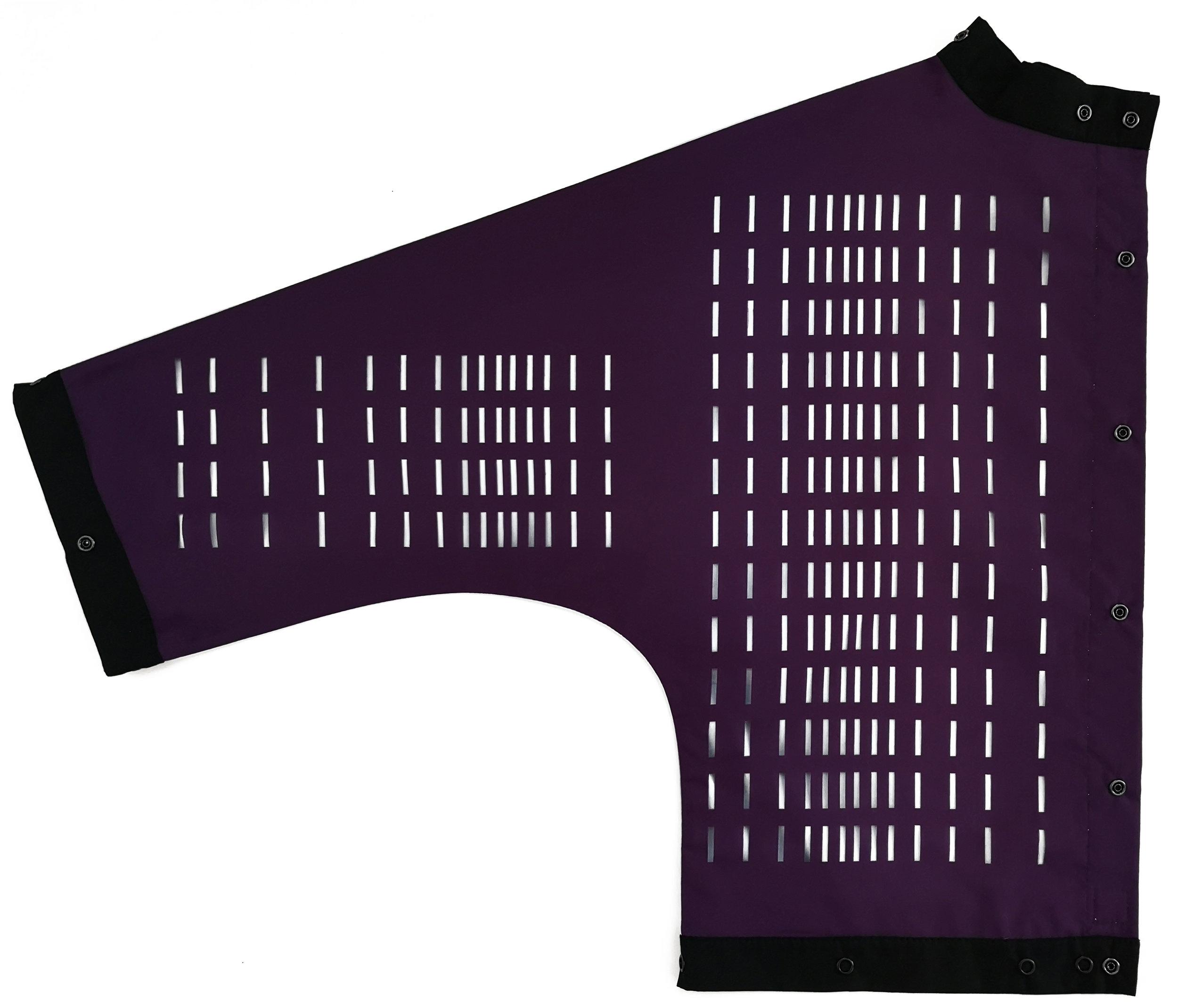 laserviol1.jpg