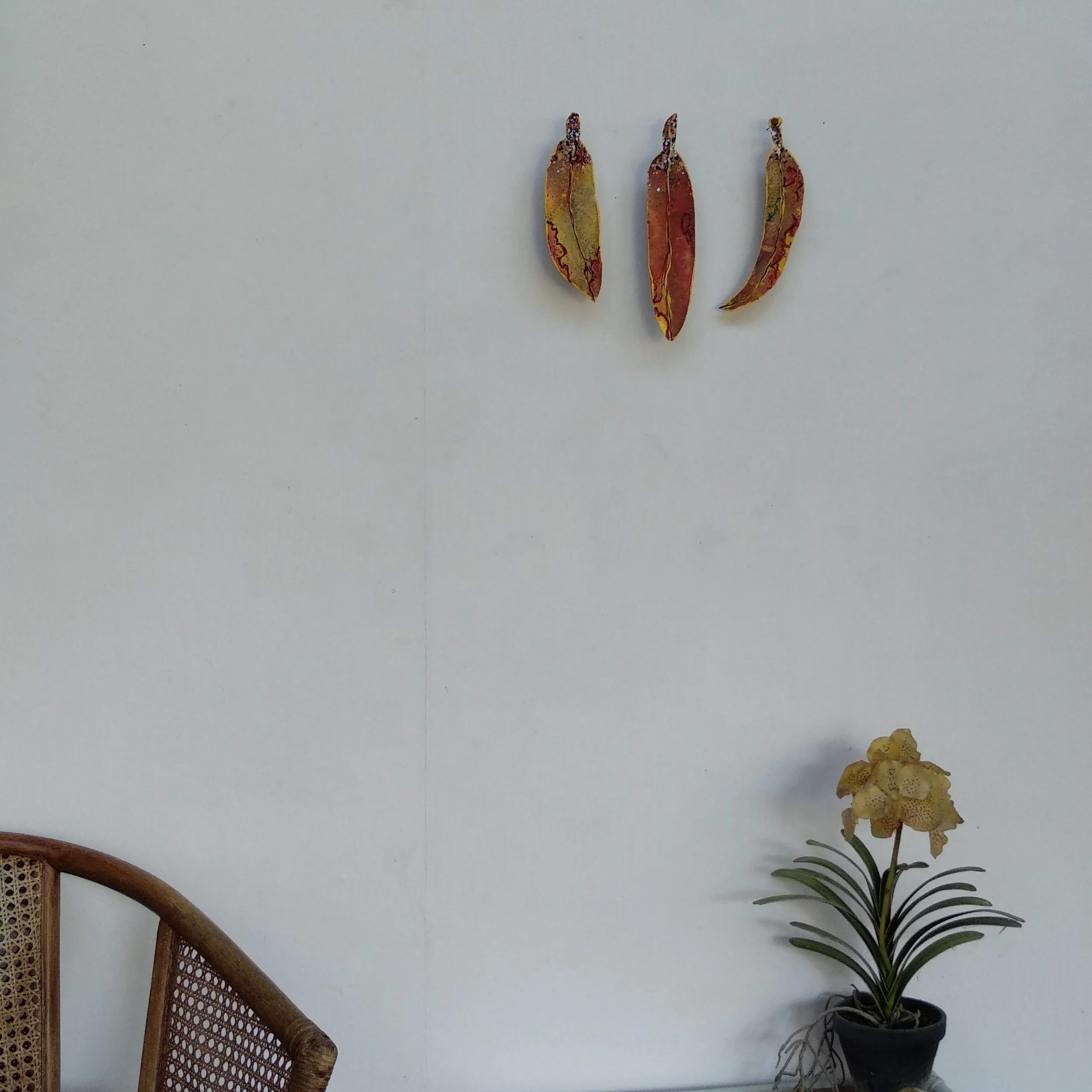 22.e.insitu.jpg