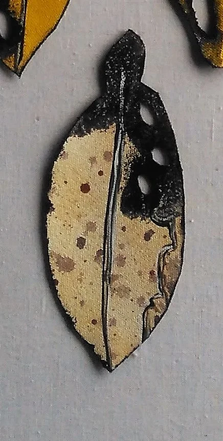 17323.LtB6.jpg