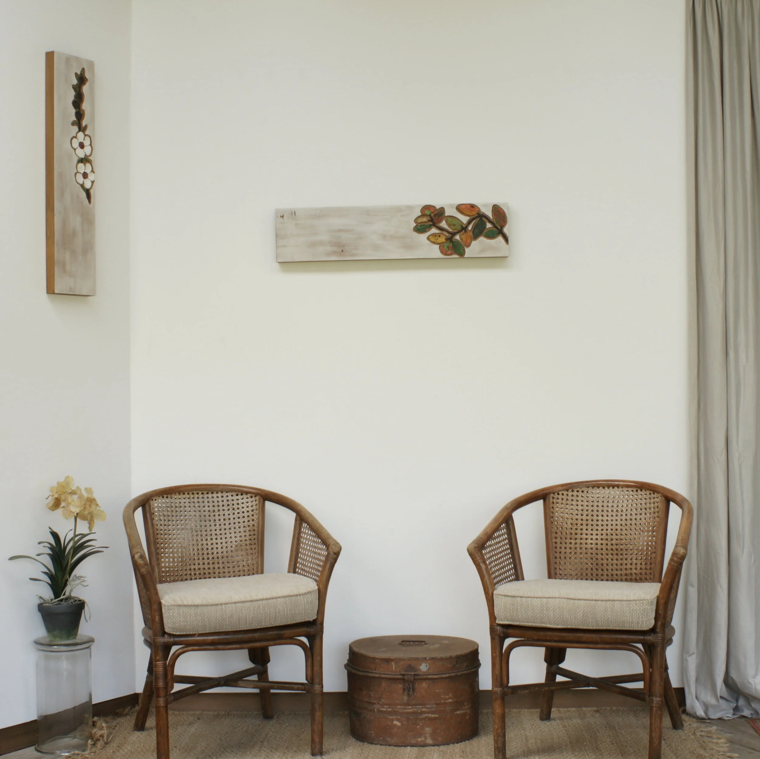 40% OFF - Pohutukawa in Rimu