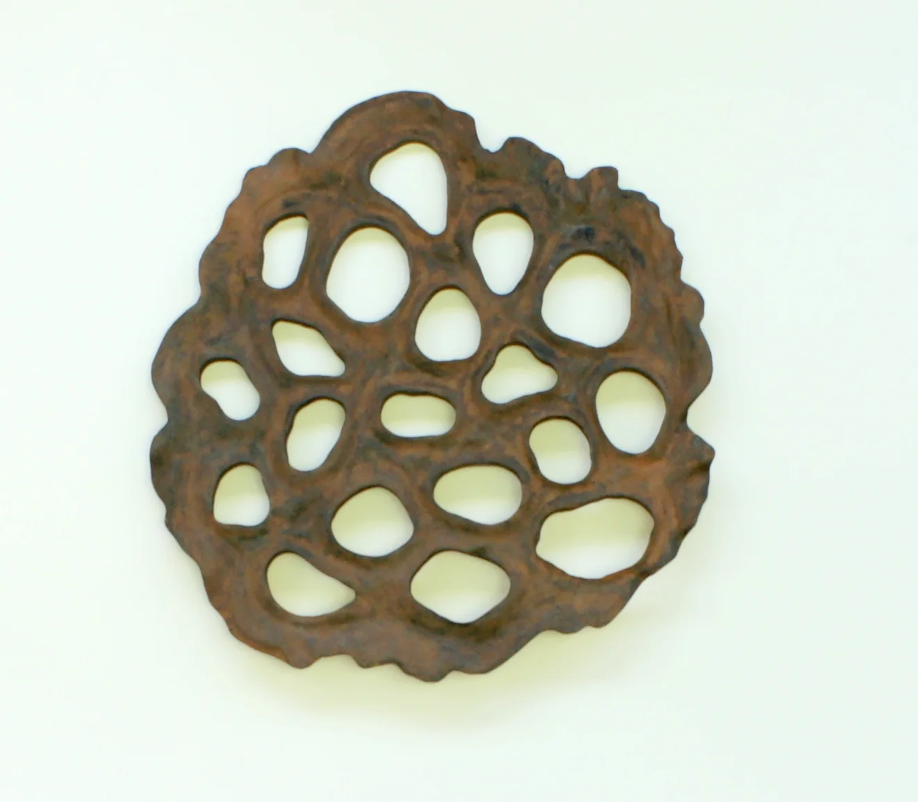 Lotus Transverse section