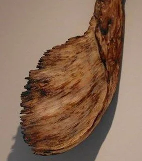 Box Elder Sculpture …