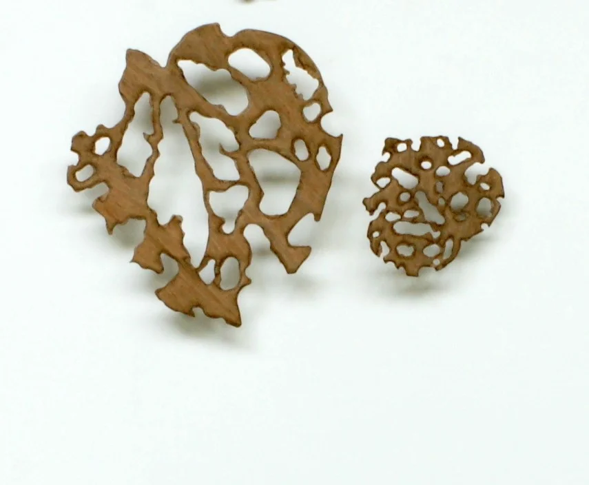 Kawakawa Pair ..new.JPG