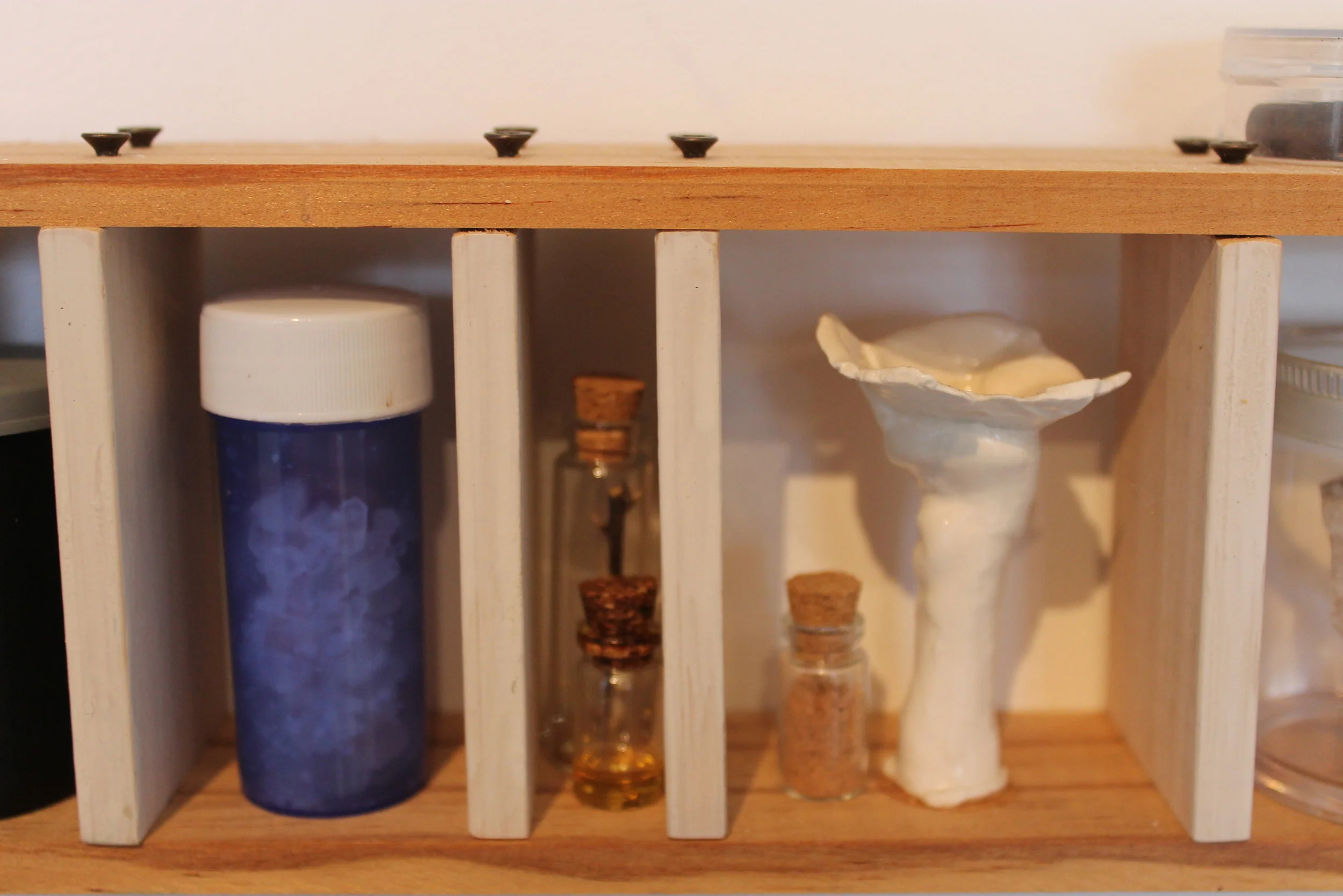 Timeline. Liz McAuliffe (4).JPG