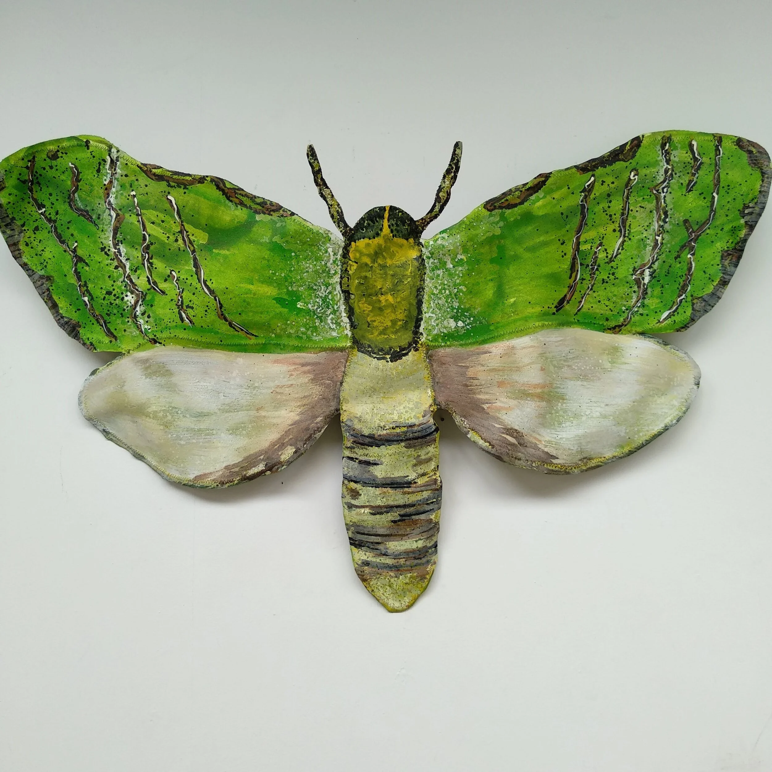 Puriri Moth Canvas/Wire Sculpture - Medium