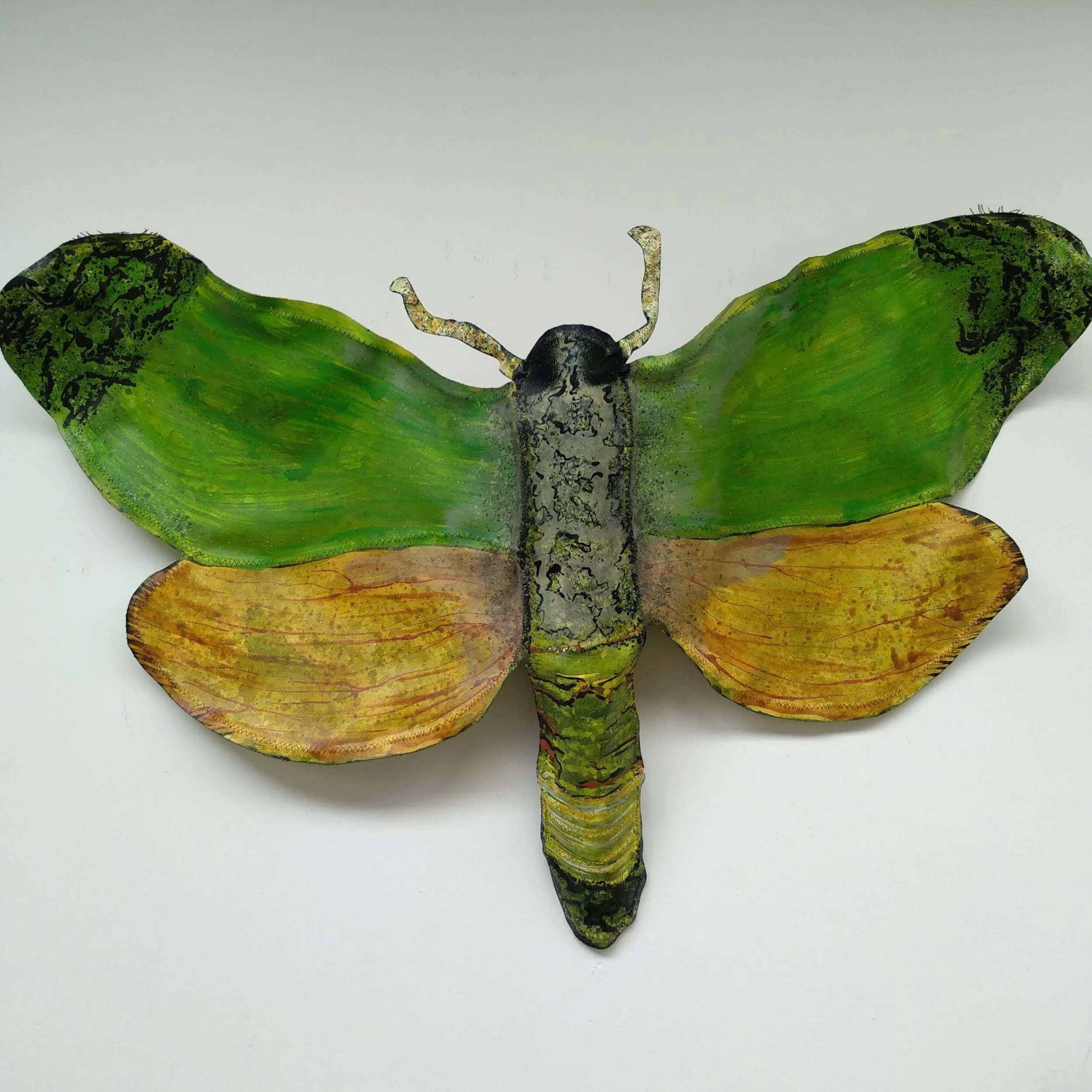 Puriri Moth Canvas/Wire Sculpture - Large