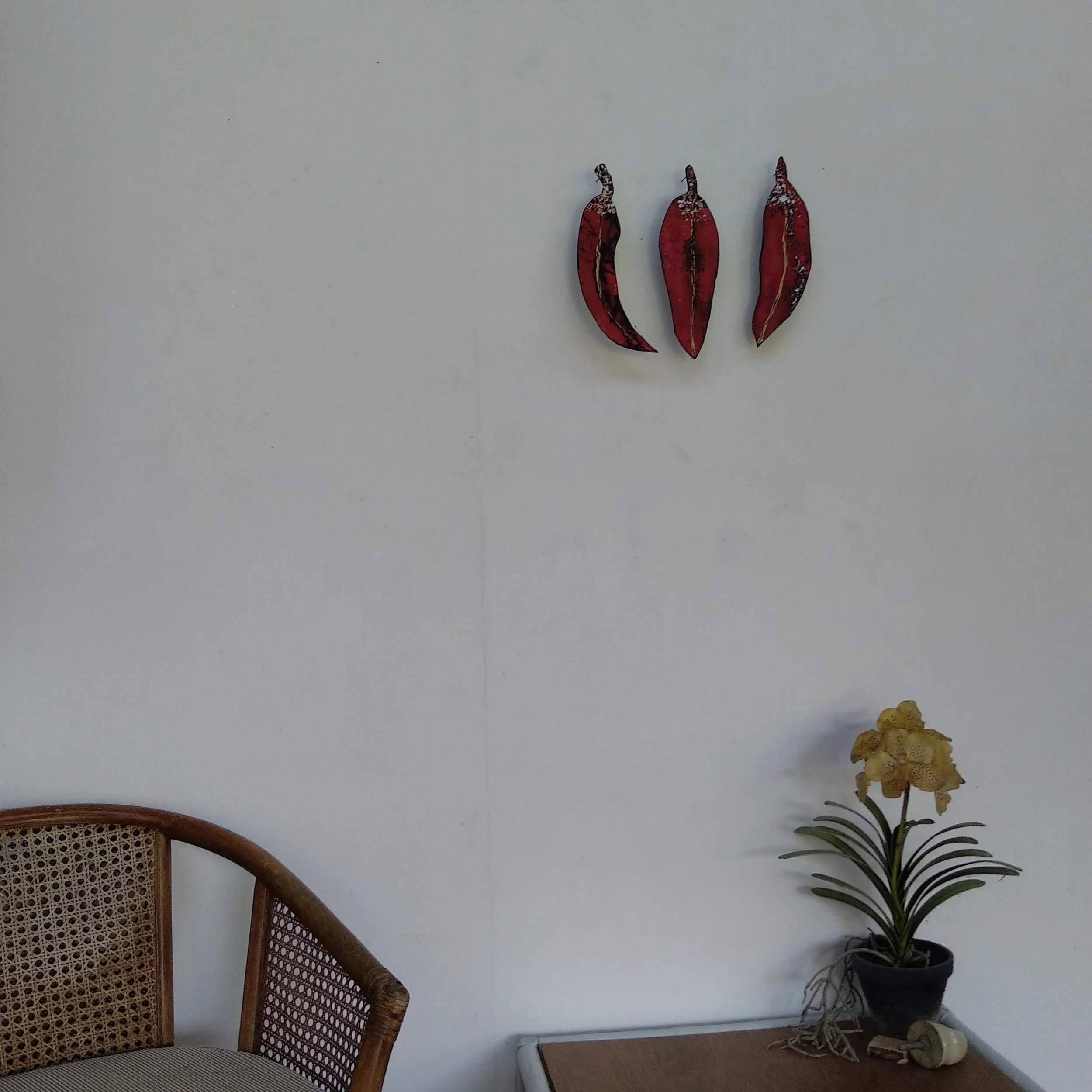23.e.insitu.jpg