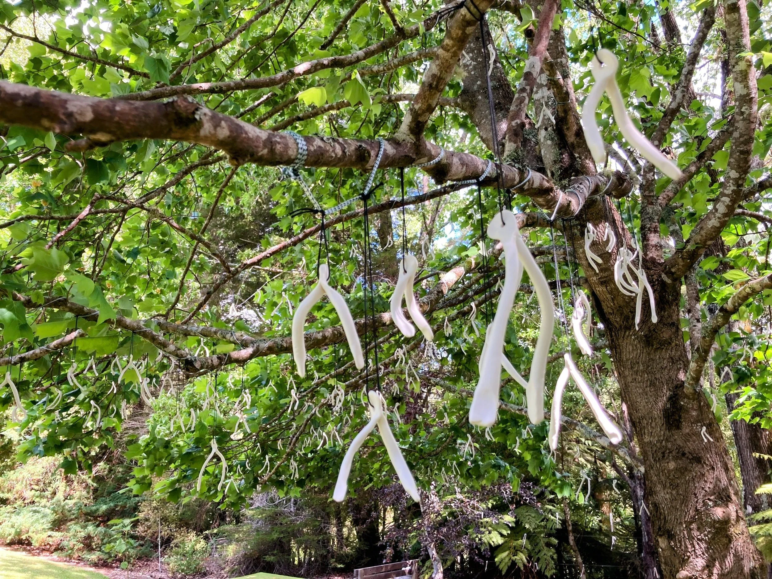 The Wishing Tree - Liz McAuliffe.JPG