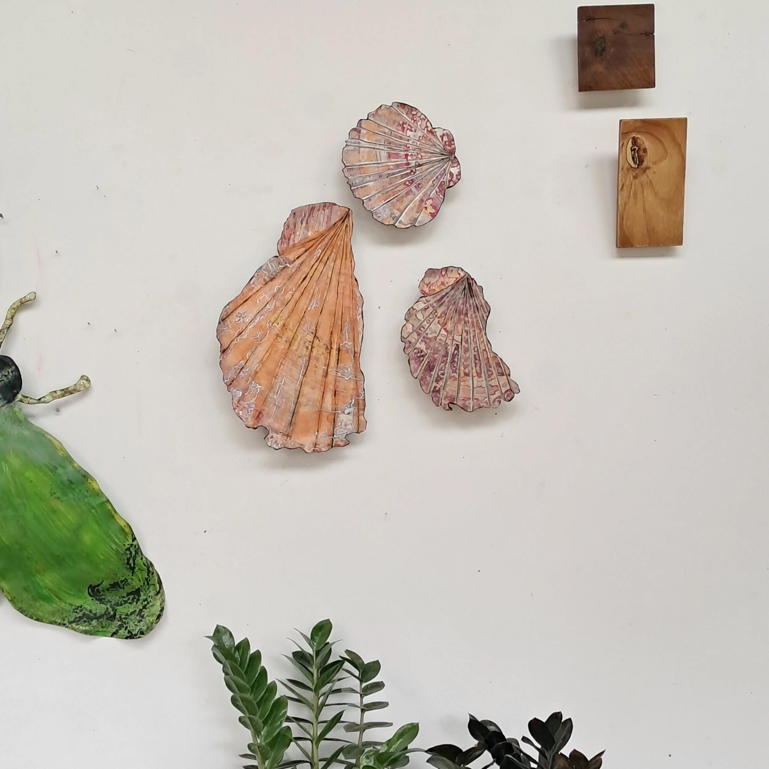 Scallop Shell Canvas Sculptures - set of 3