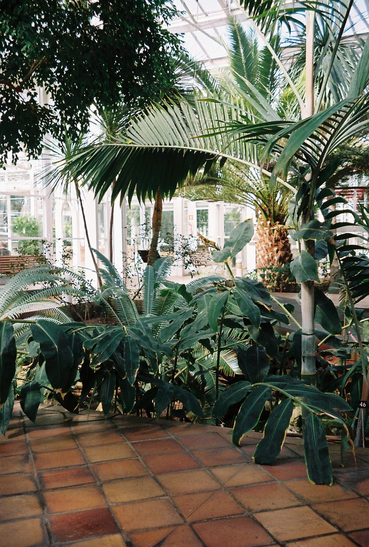 PetunioMonteroPhotography6.jpg
