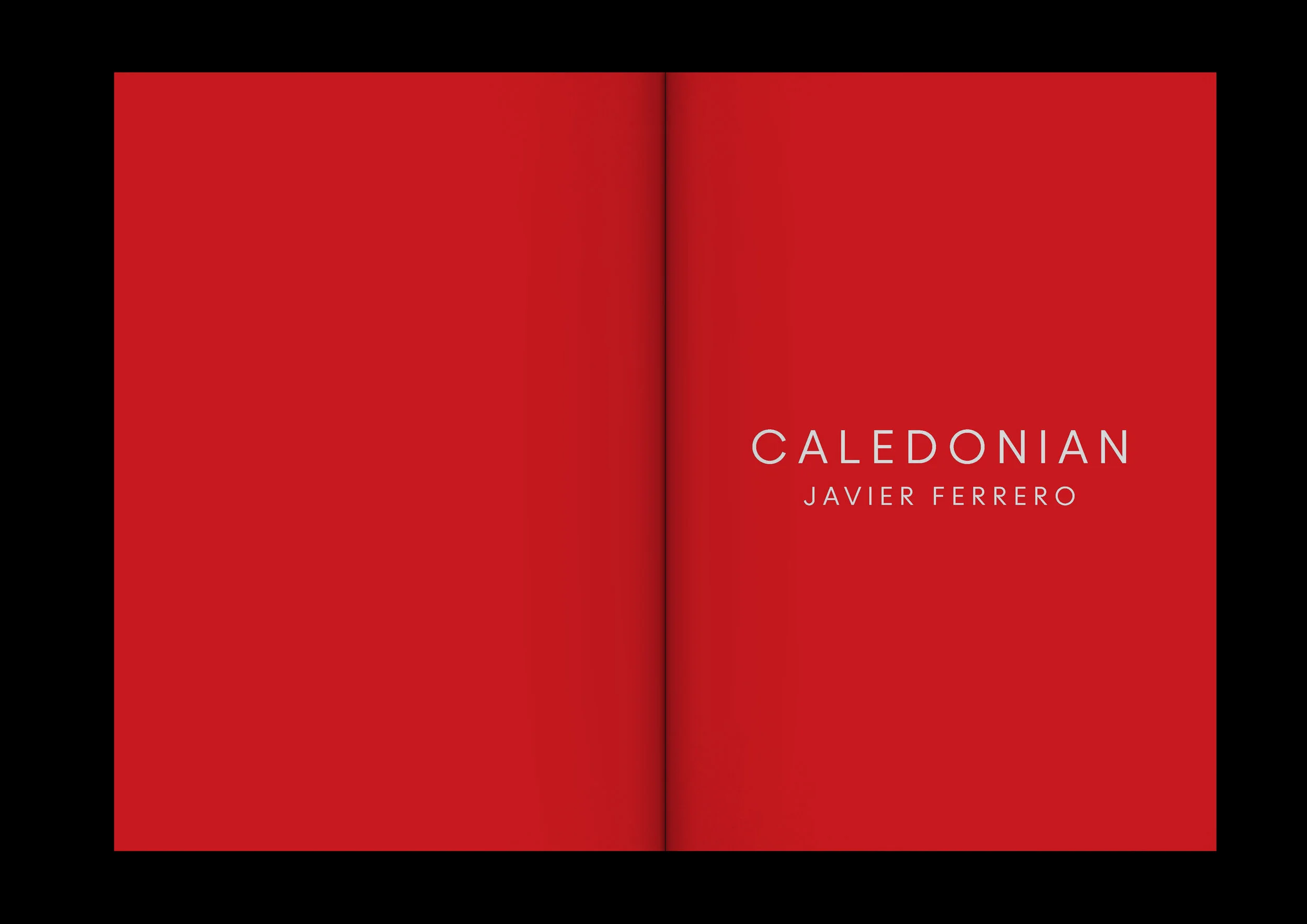 PetunioMontero.Work.Caledonian5.jpg