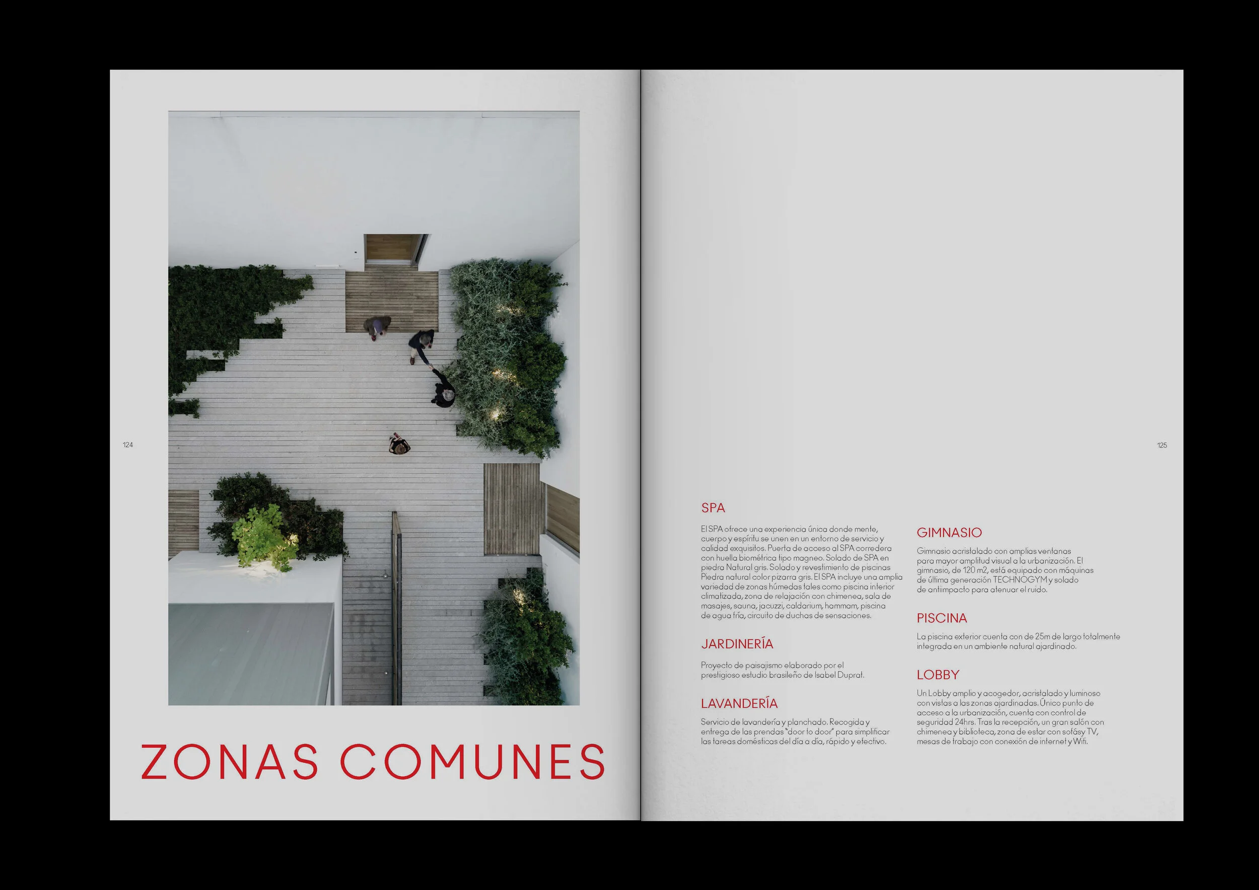 PetunioMontero.Work.Caledonian9.jpg