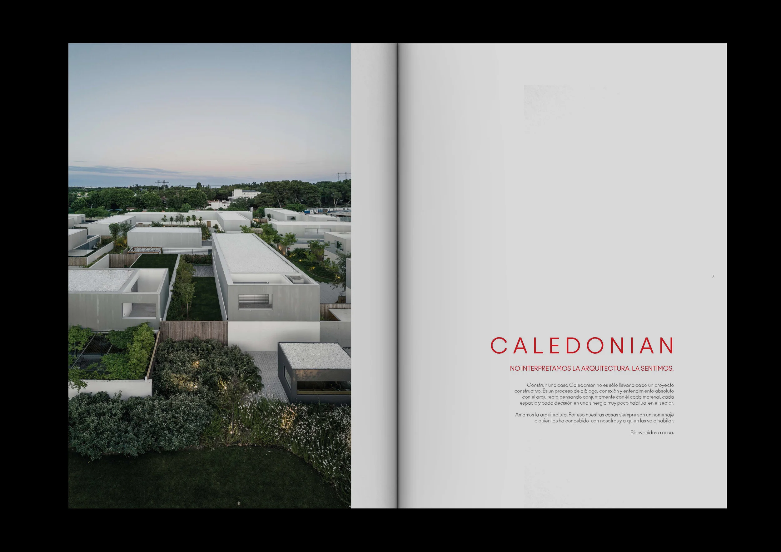 PetunioMontero.Work.Caledonian11.jpg