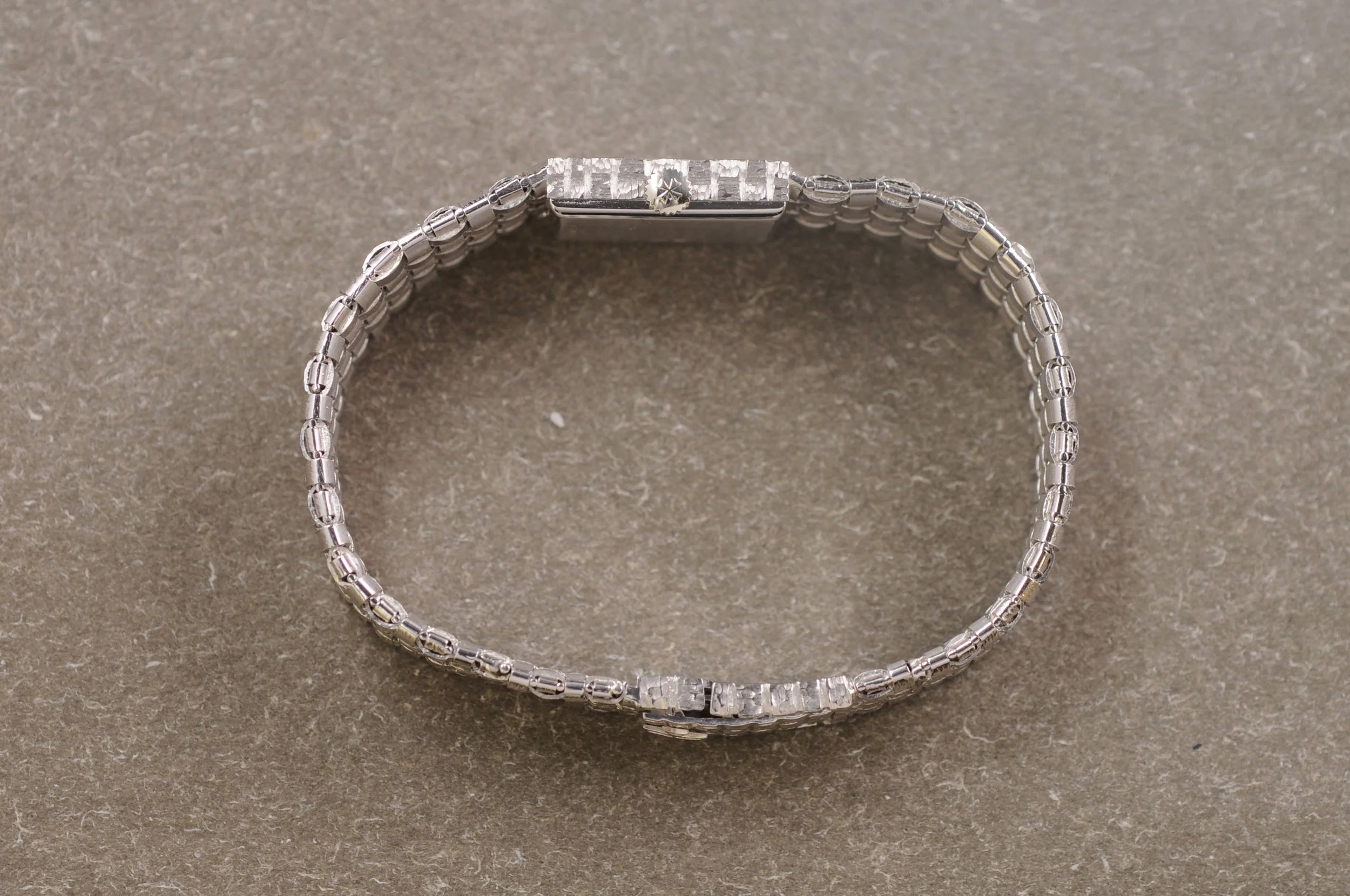 A8669 - DSC_9396.JPG