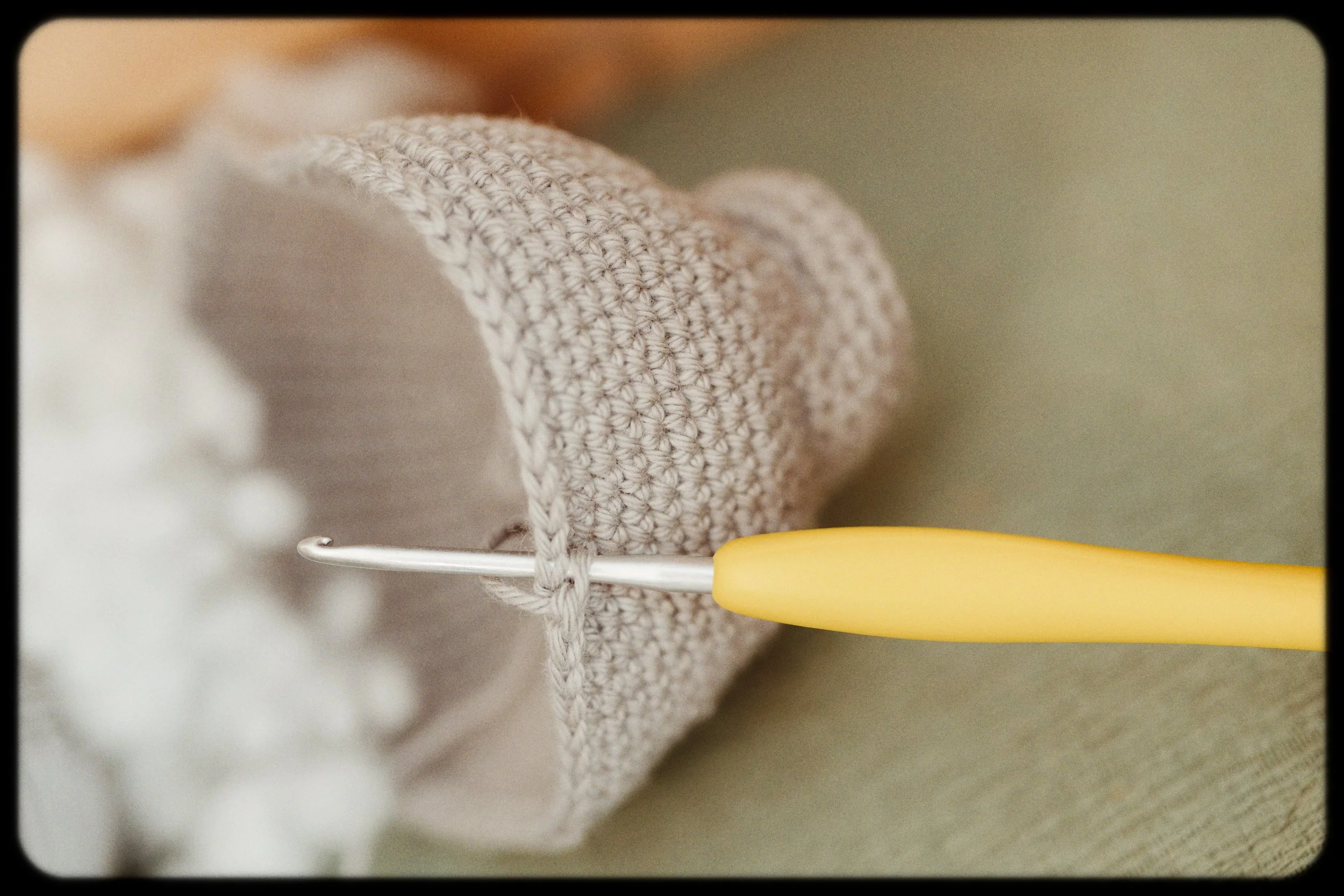 7O2A0747-Avec accentuation-Bruit-Modifier.jpg