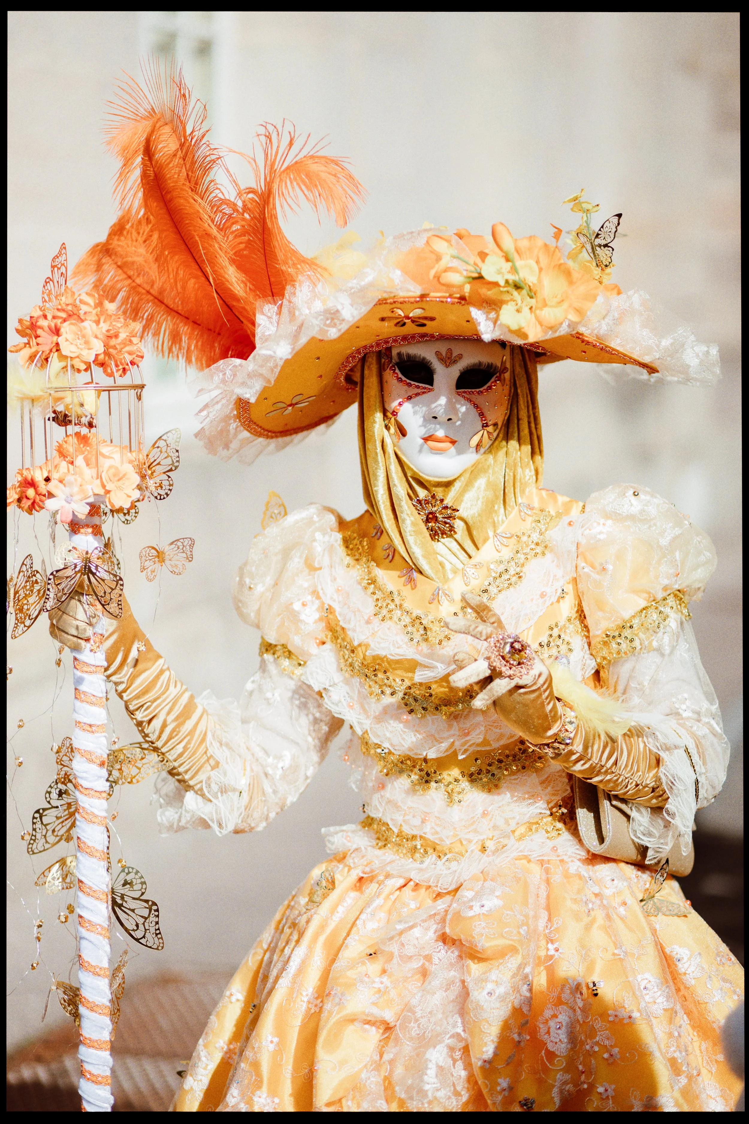 7O2A6423-Modifier.JPG