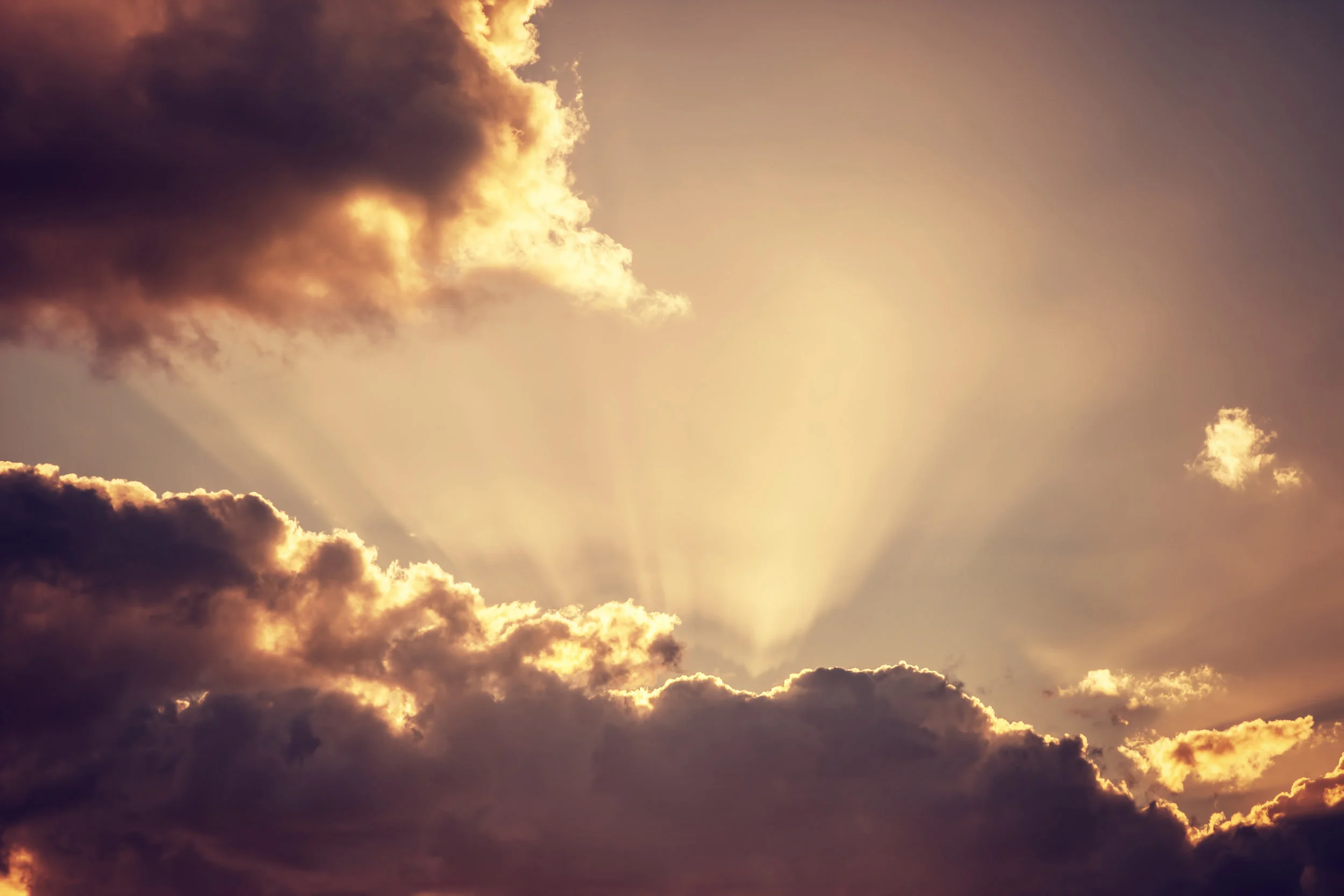 AdobeStock_95834945.jpeg
